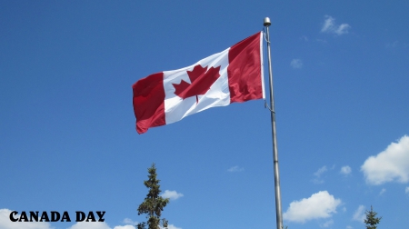 Canada Day on July 01 - white, sky, flag, blue, photography, red