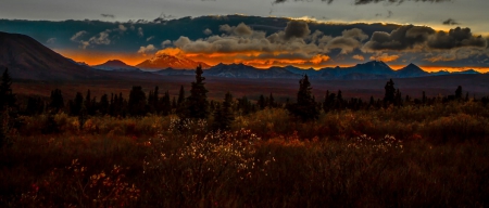 sunset - fun, sunset, nature, desert