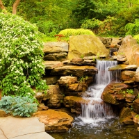 Waterfall pond