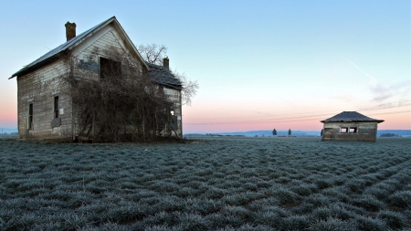 abandoned farmhouse in the middle of fields - hut, abandoned, field, farmhouse