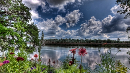 wonderful flowers on a river shore hdr - trees, river, clouds, shore, hdr, flowers