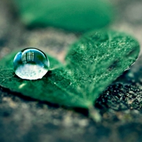 A DROP UPOND A HEART