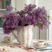 Lilacs....