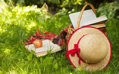 *** Summer time *** - flowers, summer, time, meadow, field