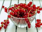 *** Red currants ***