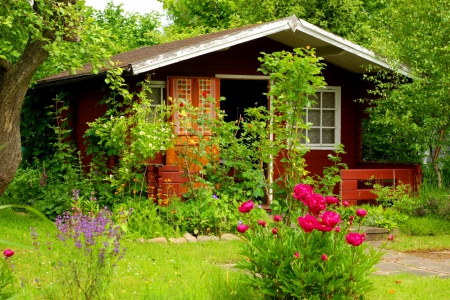 Pretty house - pretty, summer, cabin, forest, home, flowers, villa, garden, yard, nice, place, cottage, house, trees, beautiful, lovely, wooden, nature, serenity, peaceful