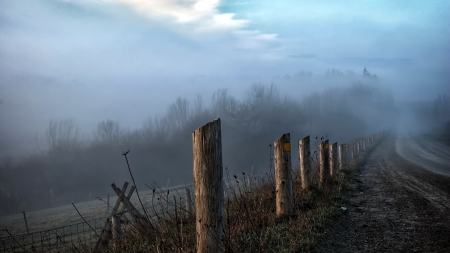 wondrous country road in fog - clouds, fog, road, forest, posts