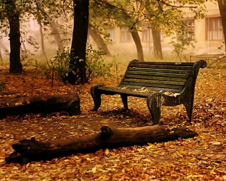 RESTING PLACE IN AUTUMN PARK - photos, fall, trees, autumn, garden, landscape, bench, park