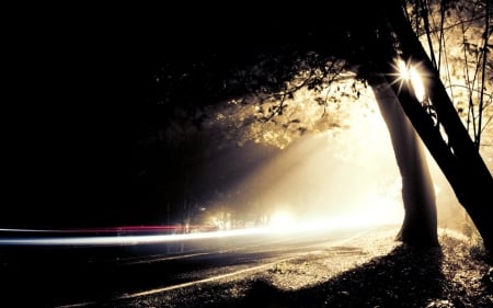 ROAD TOWARDS NIGHT - photos, lanscapes, night time, trees, road, fantasy, highway, thoughtful, twilight