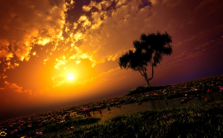 Sunrise - anime, yellow, sunrise, 3D, flower, orange, tree, manga, cloud, field, art, sky