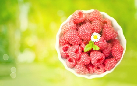 raspberries - fun, yummy, fruits, entertainments, raspberries