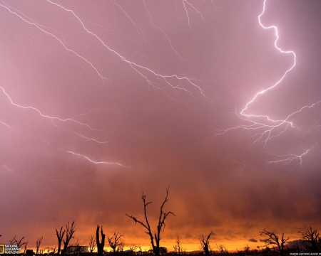 Storm - lightning, trees, storm, sunset