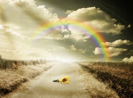 Hope - road, flower, rainbow, hope