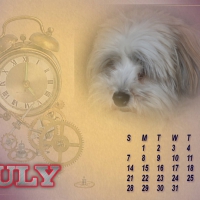 July is here .