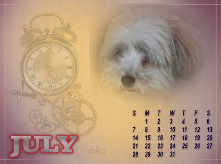 July is here . - summer, july, dogs, calendars