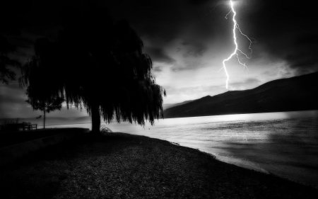 before the storm - nature, lightning, tree, dark