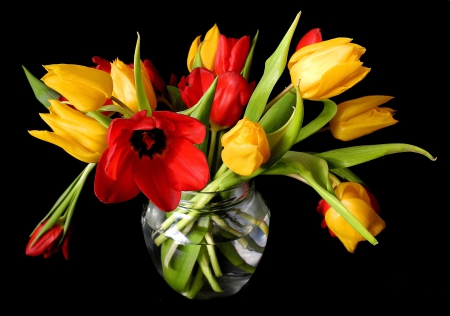 Bouquet of fresh tulips - delicate, pretty, tulips, beautiful, flowers, tender, bouquet, vase, leaves, mix, still life, fresh, freshness, nice, lovely, colorful