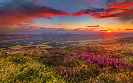 Field sunset - pretty, summer, sundown, amazing, grass, meadow, sunrise, flowers, field, nice, sky, sun, beautiful, lovely, valley, wildflowers, nature, sunset, rays