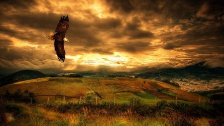 Flying Eagle - clouds, landscape, raptor, Bald Eagle