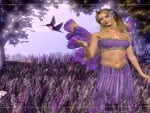 violet fairy