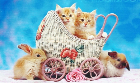 Two tabby kittens with two bunnies - tabby, paws, kittens, bunnies, carriage, cute, rose