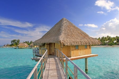 Perfect Water Villa Bungalow over clear blue lagoon ocean Bora Bora Paradise Island Tahiti Polynesia - aqua, sun, pacific, paradise, room, escape, bungalows, villa, coral, suite, holiday, south, zen, peace, islands, tropical, villas, sea, retreat, beach, water, polynesian, hotel, clear, perfect, french, polynesia, bora bora, lagoon, atoll, sand, resort, bungalow, stilts, ocean, reef, exotic, hideaway, luxury, alone, blue, island, fish, tahiti