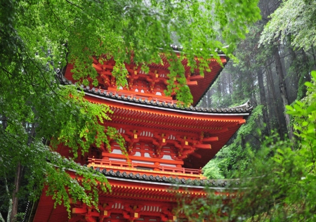 Pagoda - japan, red, green, photo, pagoda, spring