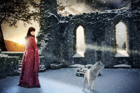 Cold Ruin - fantasy, white, wolf, girl, snow