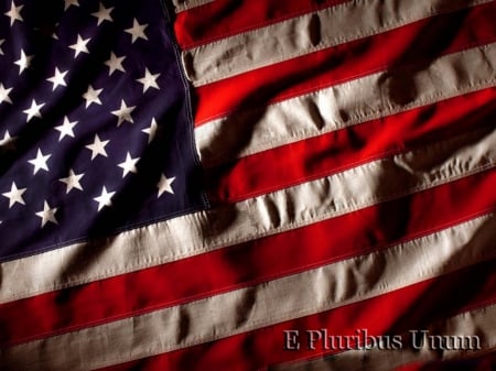 E. PLURIBUS UNUM - american, memorial day, pride, flag, veterans day, july 4th, america, stars and stripes, proud