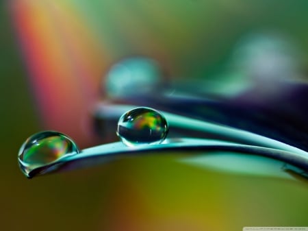 COLORFUL DROPS - photos, water, blue, drops, beauty, cool, colorful, nature, green, rain, macro, close up