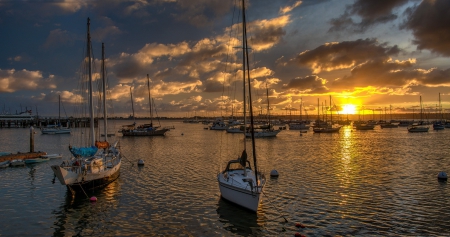 *** Sunset at the marina *** - nature, ocean, boats, sunset, flowers