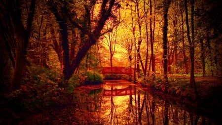 fantastic autumn colors on bridge over a forest creek - sunlight, autumn, creek, forest, bridge