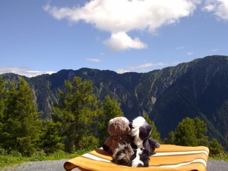 Plush animals enjoying the view - plush, mountain, sky, view