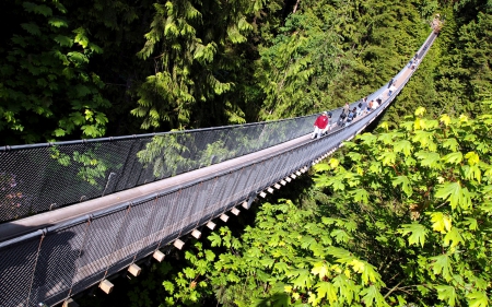 Capilano Suspension Bridge