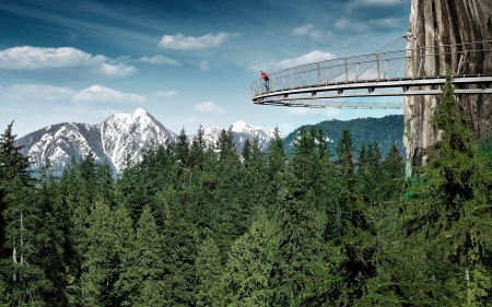 Capilano Cliffwalk - Trees, Mountains, Cliffwalk, Suspension