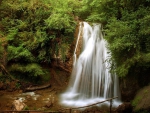 Forest Waterfall