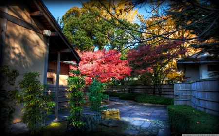 Tea House - oriental, japan, tea, momiji, house, tree