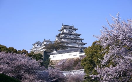 *** JAPAN - Sakura *** - sacura, trees, architecture, religious