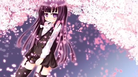 Inu x Boku - pruple hair, sakura flowers, pruple eyes, inu x boku, long hair, blush, cute, dress