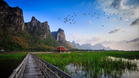 wooden walkway and arbor in vast wetlands - wallpaper, mountains, nature, lakes, wetlands, arbor, walkway, thailand, bridges, grass, birds, new