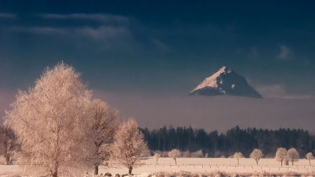 superb mountain top above the fog - trees, winter, fog, fields, peak, mountain