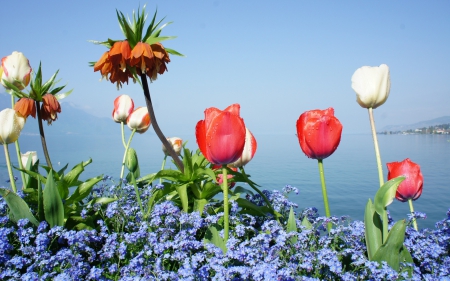 *** Beautiful ocean views *** - sky, mountains, flowers, ocean, nature, blue