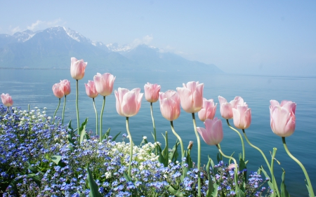 *** Incredibly beautiful mountain views *** - flowers, nature, ocean, mountains, mountain