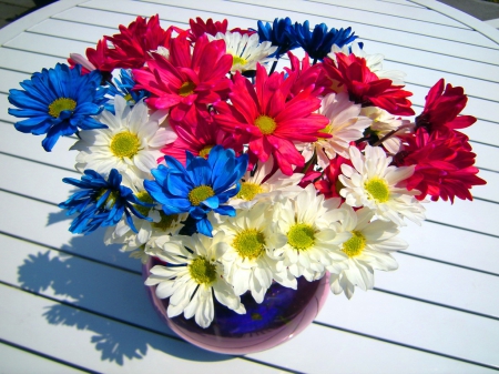 4th of July daisies - daisies, white, blue, red, America, colors