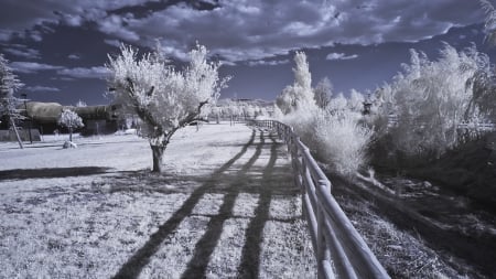 fantastic photo - fence, pasture, clouds, photo, trees