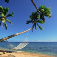 Hammock at the Beach