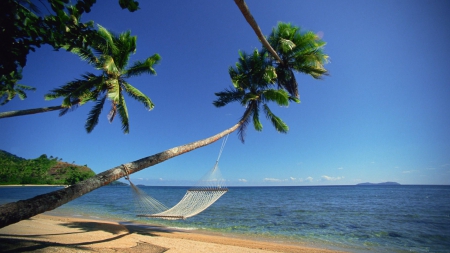 Hammock at the Beach - palms, water, summer, fiji, sea