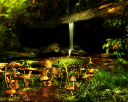 Mushrooms Wood Land