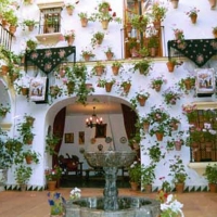 flowering patio with fountain