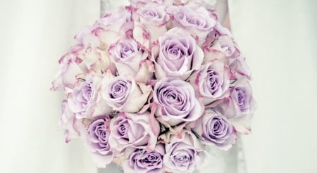 * Roses * - flowers, roses, purple, soft, bouquet